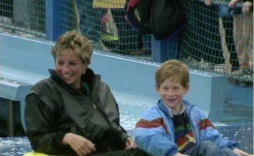 Diana and Harry on theme park ride