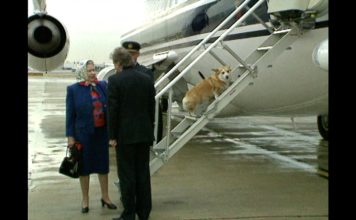 Late Queen Elizabeth with corgis at Heathrow